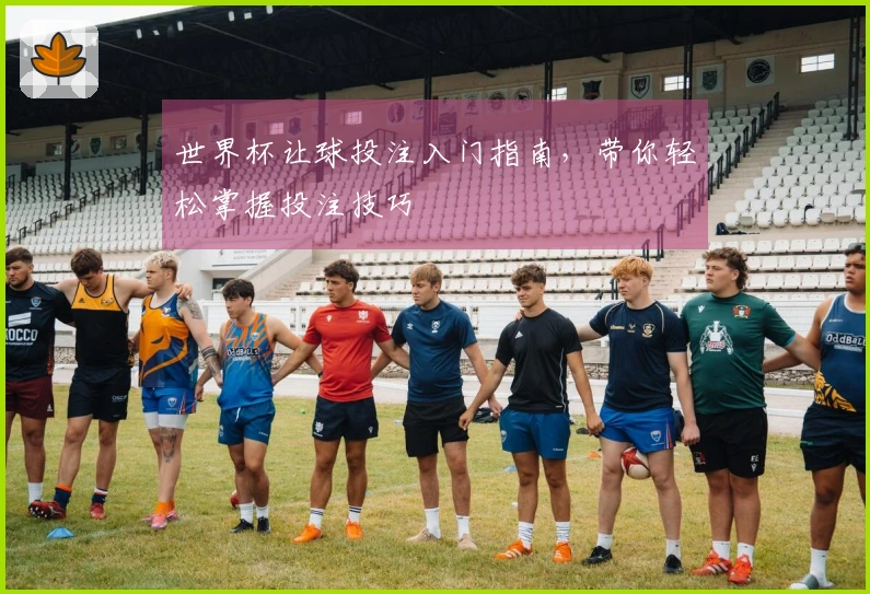 世界杯让球投注入门指南，带你轻松掌握投注技巧