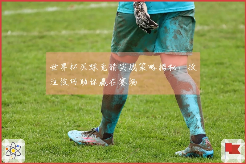 世界杯买球竞猜实战策略揭秘，投注技巧助你赢在赛场