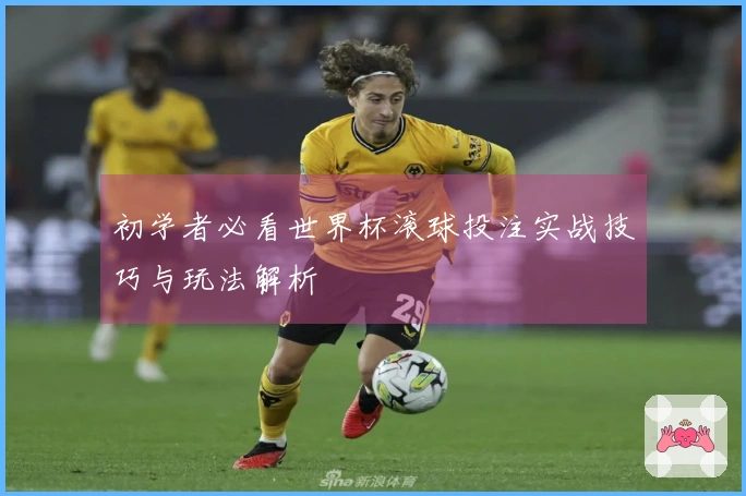 初学者必看世界杯滚球投注实战技巧与玩法解析