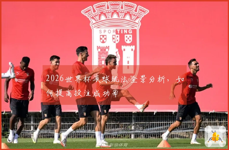 2026世界杯滚球玩法全景分析，如何提高投注成功率