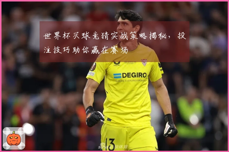 世界杯买球竞猜实战策略揭秘，投注技巧助你赢在赛场