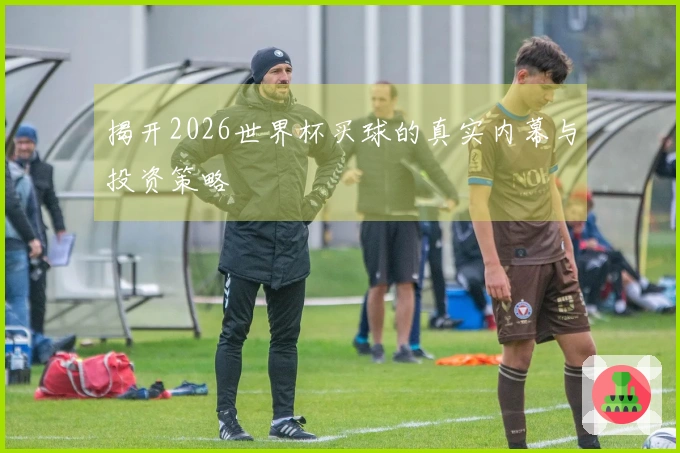 揭开2026世界杯买球的真实内幕与投资策略