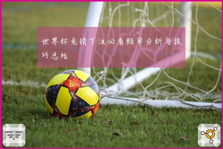 世界杯竞猜下注必看赔率分析与技巧总结